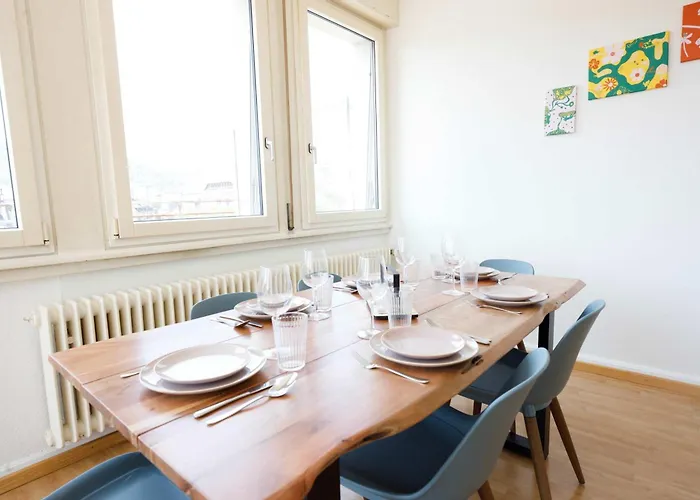Spacious Zurich Apt Huge Terrace & Views